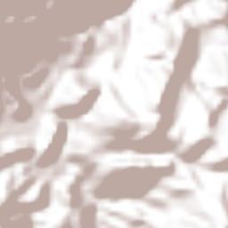 El Níspero Terrain Map