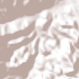 San José La Arada Terrain Map