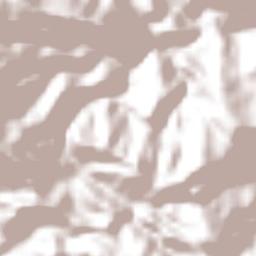 Ojos de Agua Terrain Map