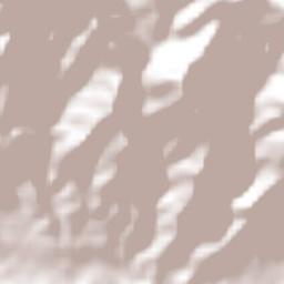 La Concepción Terrain Map