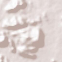 Rayadrug Terrain Map