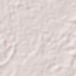 Ciudad Hidalgo Terrain Map