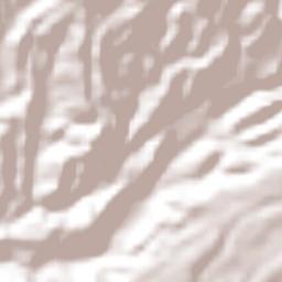 El Palmar Terrain Map