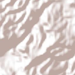 Las Flores Terrain Map