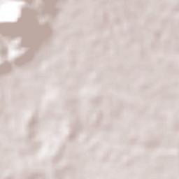 Juticalpa Terrain Map