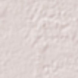 Suchiate Terrain Map