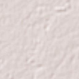 Ignacio López Rayón Terrain Map