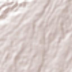 Pueblo Nuevo Terrain Map