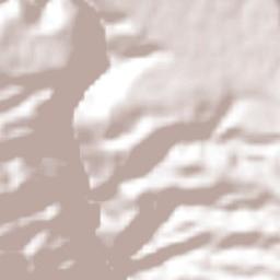 Patzicía Terrain Map