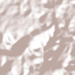 Concordia Terrain Map