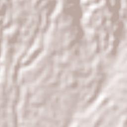 Nuevo San Carlos Terrain Map