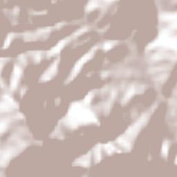 El Rosario Terrain Map