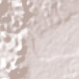 Zopilotepe Terrain Map