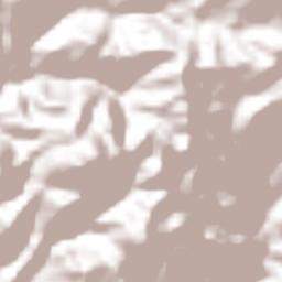 Concepción Terrain Map