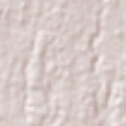 San Lorenzo Terrain Map