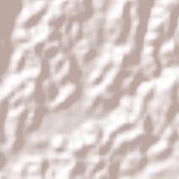 Municipio de San Miguel Panán Terrain Map