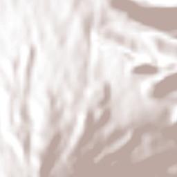 Santa María de Jesús Terrain Map