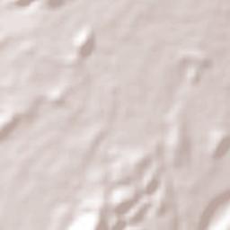 Municipio de Santa Bárbara Terrain Map