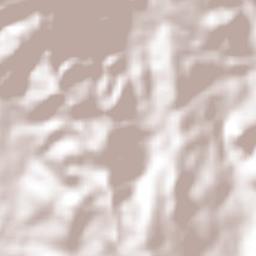 Santa Cruz Naranjo Terrain Map