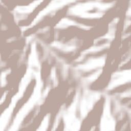 Municipio de Casillas Terrain Map