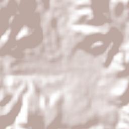 San Juan de Flores Terrain Map