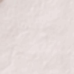 Shikarpur Terrain Map