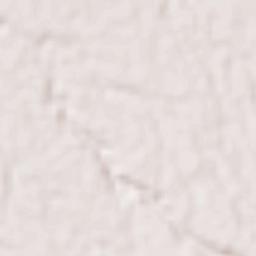 Palangue Terrain Map