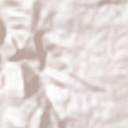 San Antonio Terrain Map