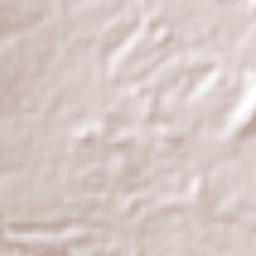 Villa de San Francisco Terrain Map