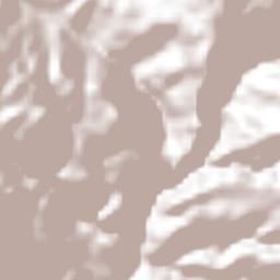 Zapotitlán Terrain Map