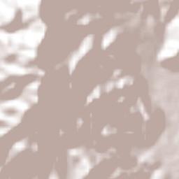 Candelaria de La Frontera Terrain Map