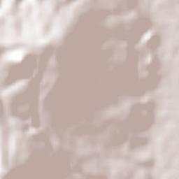 Nueva Concepción Terrain Map