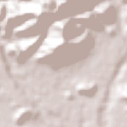 Quebrada Larga Terrain Map