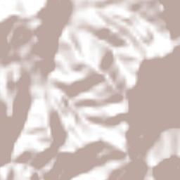 El Achiotal Terrain Map