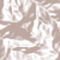 Santa Elena Terrain Map