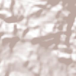 Lepaterique Terrain Map