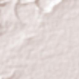 Alaminos Terrain Map