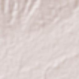 Municipio de Guazacapán Terrain Map