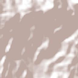 Conguaco Terrain Map