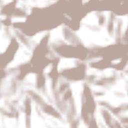 Concepción Terrain Map