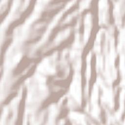 Coatepeque Terrain Map