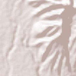 San Celestio Terrain Map