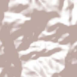 San Buenaventura Terrain Map