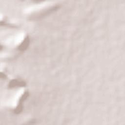 Département de Birni Nkonni Terrain Map