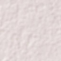 Montecillo Terrain Map