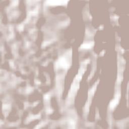 Ciudad Arce Terrain Map