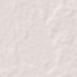 Santa Catalina Sur Terrain Map