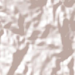 Tenancingo Terrain Map