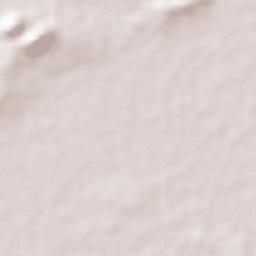 Birni N Konni Terrain Map