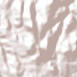 Tecoluca Terrain Map